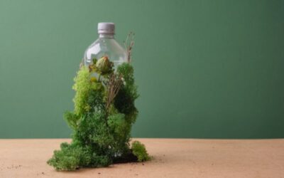 Casa ecosostenibile: la guida completa per abitare nel rispetto dell’ambiente